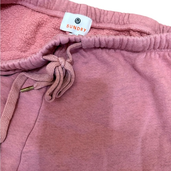 Sundry Dusty Rose Joggers with Drawstring - Picture 4 of 4
